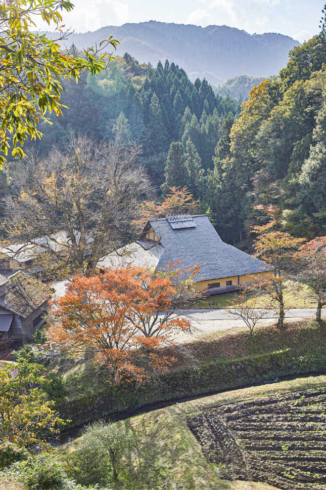 11 高殿近くの丘から建物を見渡すと、杮葺きの美しさ、正方形であることがよくわかる。